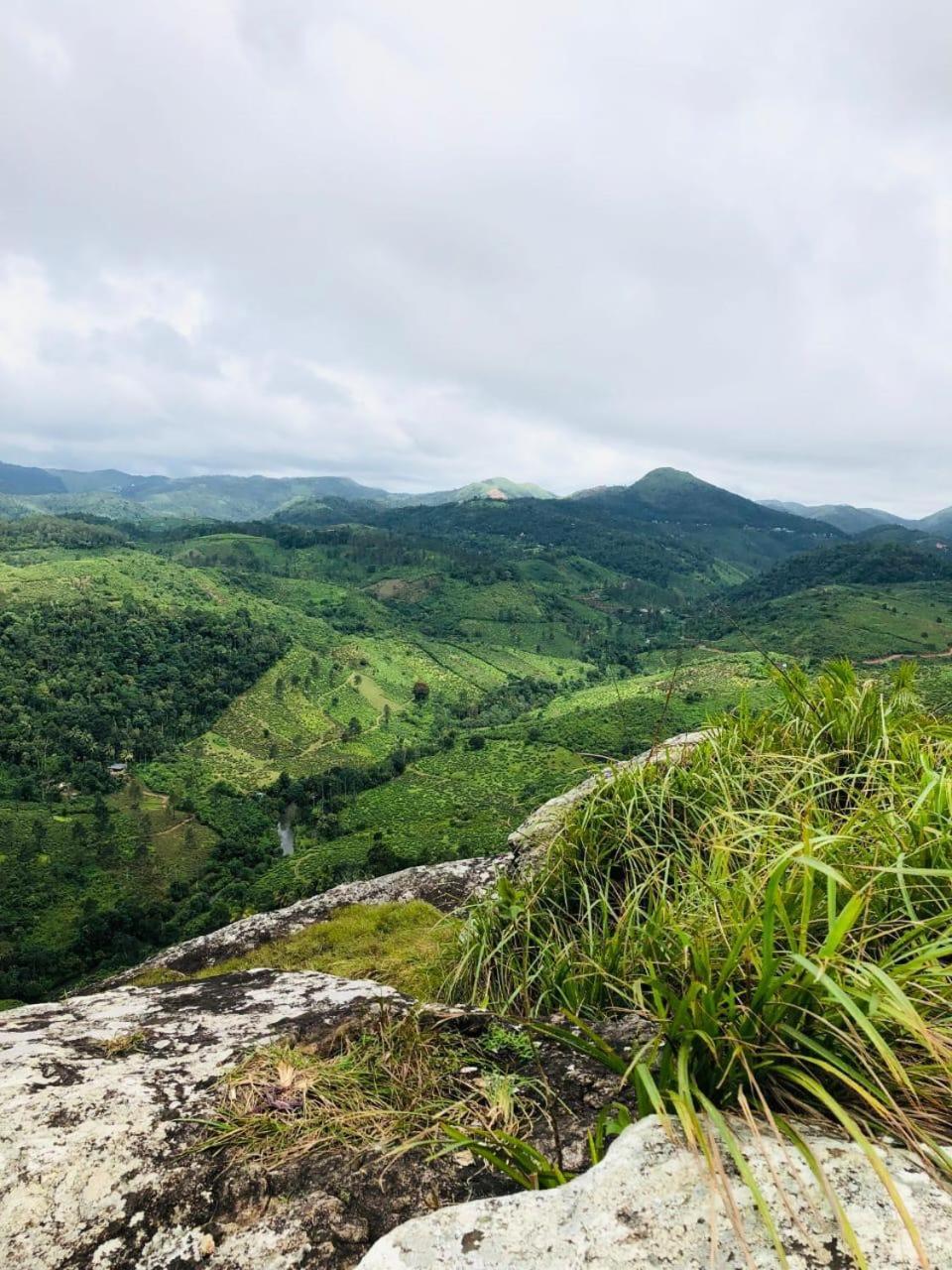 Moriah Berg Tourist Villa Vagamon Vandiperiyar Ngoại thất bức ảnh
