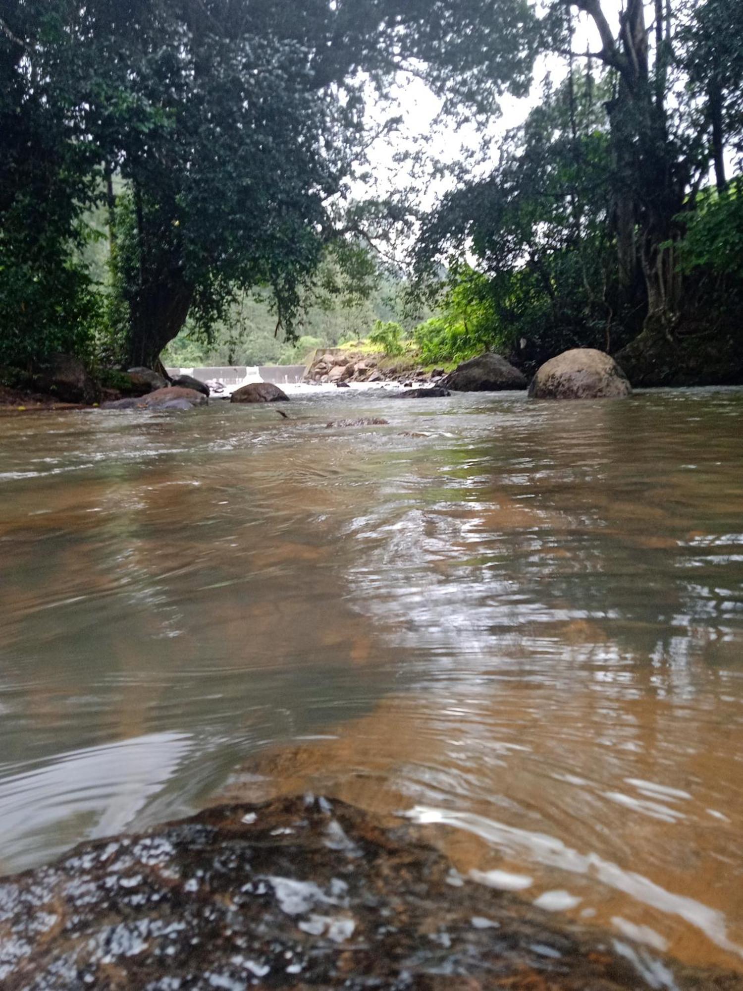 Moriah Berg Tourist Villa Vagamon Vandiperiyar Ngoại thất bức ảnh